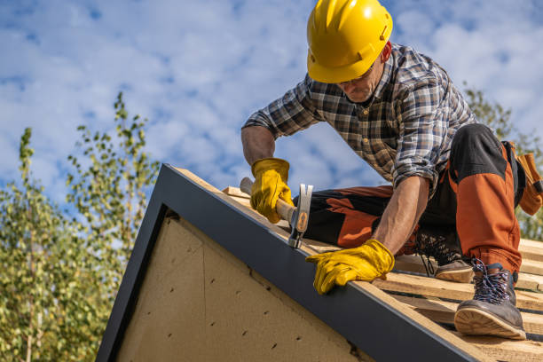 Best Roof Coating Services  in Three Forks, MT